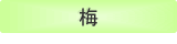 梅