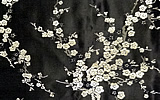 梅（黒）