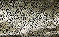 細かな模様（黒地に金）