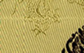 丸と竜（金地に茶色）