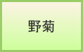 野菊