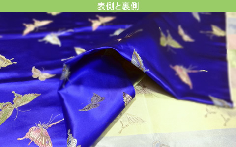 蝶々（青）