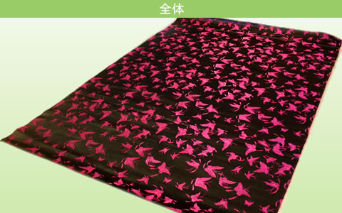 小蝶（黒）