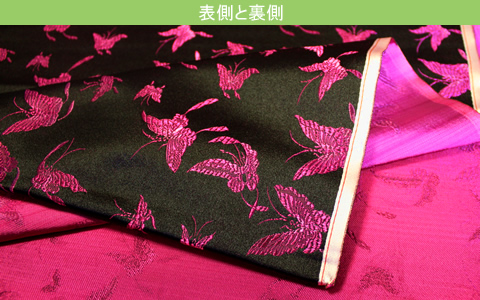 小蝶（黒）