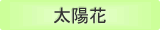 太陽花