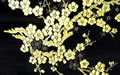 梅（黒地に金）