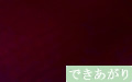 ベルベット（紫紺）